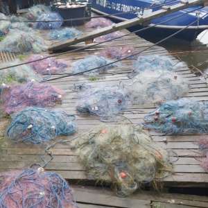 Dosare penale, peste 1.000 de metri de plase și 120 kg de pește confiscate în urma unor acțiuni ale polițiștilor de frontieră din cadrul Gărzii de Coastă