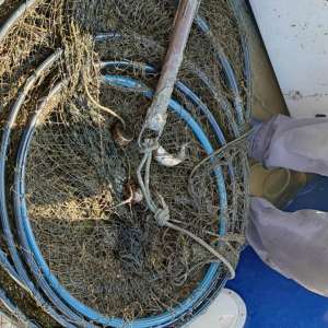 Perioadă de prohibiție ignorată de către un gălățean