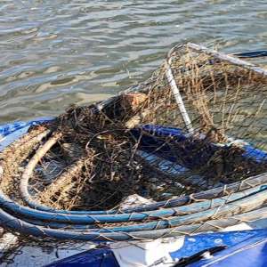 Perioadă de prohibiție ignorată de către un gălățean