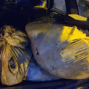 170 kilograme de pește pescuit în perioada de prohibiție, descoperite de polițiștii de frontieră