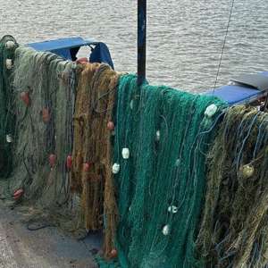 170 kilograme de pește pescuit în perioada de prohibiție, descoperite de polițiștii de frontieră