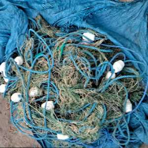 100 kilograme de pește provenit din braconaj și 500 metri de plase descoperite de polițiștii de frontieră