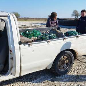 29 exemplare de sturion redate mediului natural, sute de kilograme de pește descoperite și 12 dosare penale întocmite de polițiștii de frontieră