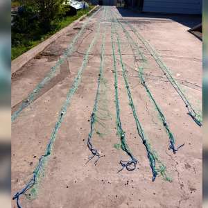 59 kilograme de pește provenit din braconaj și 380 metri de plase descoperite de polițiștii de frontieră