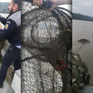 Acţiune comună pentru combaterea braconajului piscicol, pe fluviul Dunărea