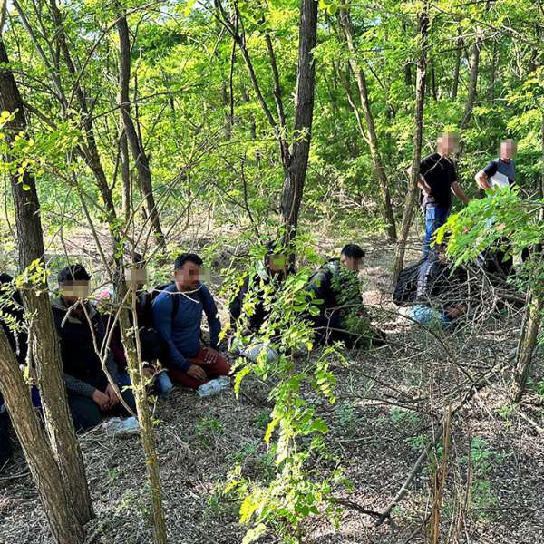 O călăuză din Satu Mare și 12 migranți, opriți la frontiera cu Ungaria