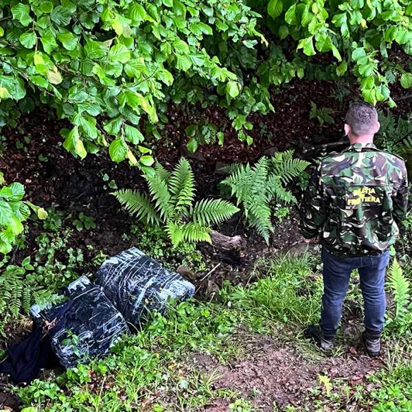 Țigări în valoare de 17.500 lei confiscate la frontiera de nord