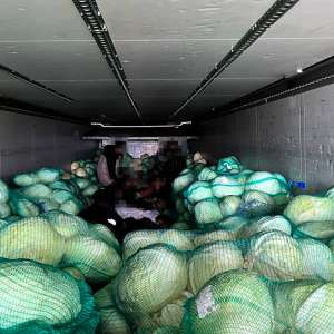 28 cetățeni sirieni, depistați ascunși într-un camion încărcat cu varză în PTF Giurgiu