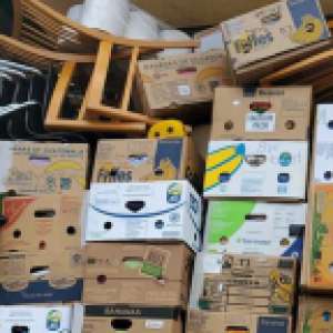 Peste 38 de tone de deşeuri, oprite la Nădlac II și Borș II