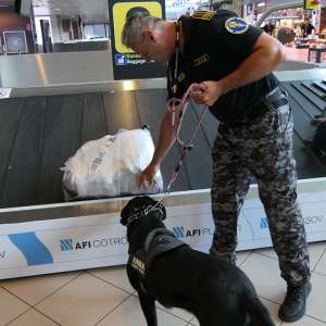 Acţiuni preventive în sistem integrat derulate în Aeroportul Henri Coandă