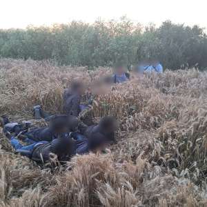 Două TIR-uri cu destinația Italia: 66 de cetățeni străini depistați ascunși și 18 cetăţeni din diverse state afro-asiatice descoperiți cu drona