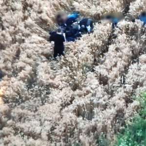 Două TIR-uri cu destinația Italia: 66 de cetățeni străini depistați ascunși și 18 cetăţeni din diverse state afro-asiatice descoperiți cu drona