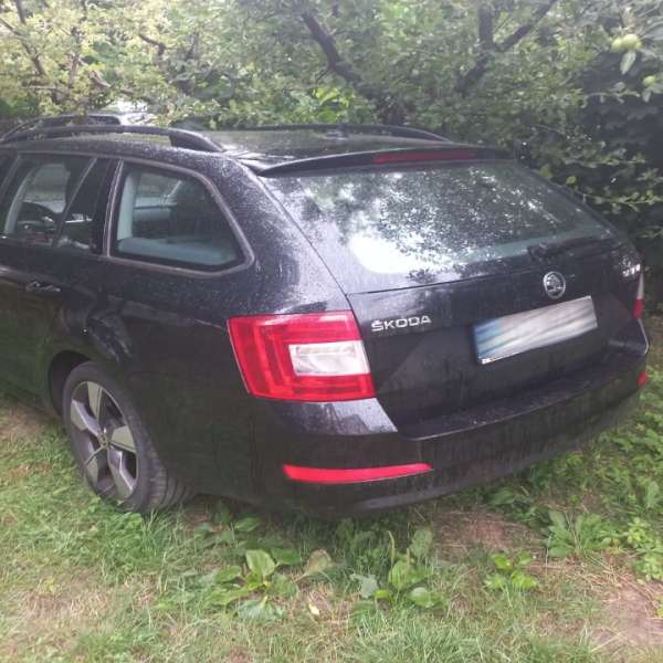 Autoturism Skoda Octavia furat din Franța, descoperit la Albița