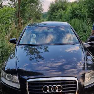 Tânără, fără drept de conducere, la volanul unui autoturism ce i-a fost încredinţat cu bună ştiinţă