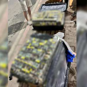 Peste 98.000 de țigarete descoperite ascunse, în două mijloace de transport, la PTF Giurgiu