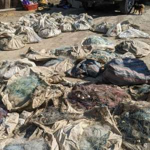 7700 de plase mono-filament descoperite de polițiștii de frontieră în cooperare cu polițiști din cadrul I.P.J. Tulcea în urma unor percheziții