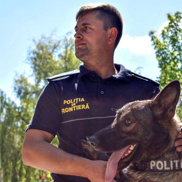 Măsuri de siguranță la UNTOLD