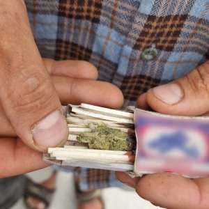 Ciuperci halucinogene şi substanţe interzise, descoperite la controlul de frontieră