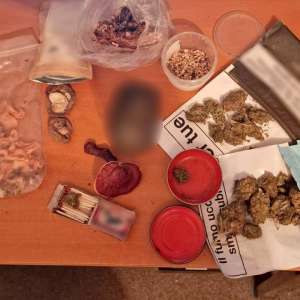 Ciuperci halucinogene şi substanţe interzise, descoperite la controlul de frontieră