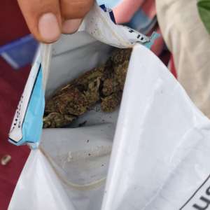 Ciuperci halucinogene şi substanţe interzise, descoperite la controlul de frontieră