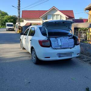 Mașină încărcată cu țigări, oprită în trafic, la Petrova