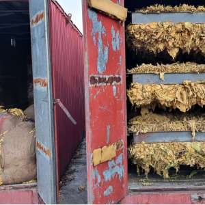 Percheziții domiciliare - grupare infracțională - introducere în românia de transporturi ilegale de tutun neprelucrat