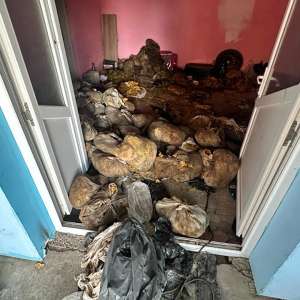 Percheziţii, identificarea a peste 1000 de trimiteri poştale şi tone de tutun confiscate în cauza privind destructurarea unei reţele româno-bulgare specializată în contrabanda cu produse din tutun