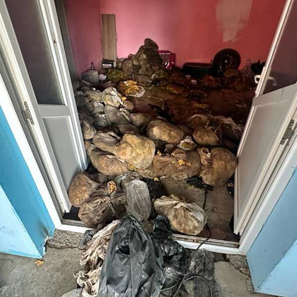 Percheziţii, identificarea a peste 1.000 de trimiteri poştale şi tone de tutun confiscate în cauza privind destructurarea unei reţele româno-bulgare de contrabanda cu tutun