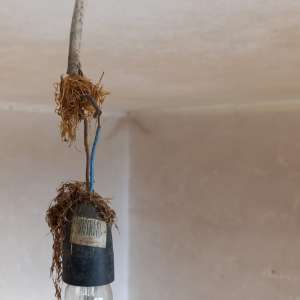 Percheziţii, identificarea a peste 1000 de trimiteri poştale şi tone de tutun confiscate în cauza privind destructurarea unei reţele româno-bulgare specializată în contrabanda cu produse din tutun