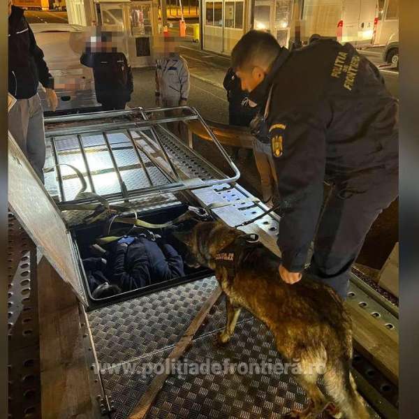 Cetăţean român condamnat la 6 ani cu executare: cea mai mare sentință dată de Tribunalul Arad pentru trafic de migranți