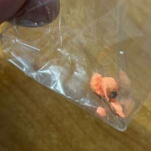 Tânăr aflat sub inflența substanțelor psihoactive depistat la controlul de frontieră