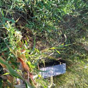 Contrabandă cu drona la frontiera de nord