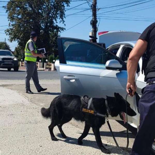 Verificări privind șederea ilegală pe teritoriul României