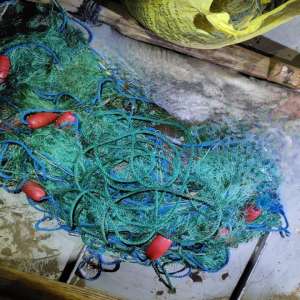 Doi brăileni cercetaţi pentru activităţi de braconaj