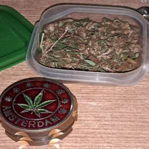 Substanţă vegetală descoperită la controlul de frontieră