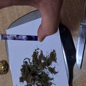 Substanţă vegetală descoperită la controlul de frontieră