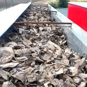 Deşeuri din Germania, oprite la Nădlac II. Peste 23 de tone de metale feroase.