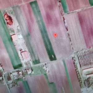 Peste 40 de migranți depistați de polițiștii de frontieră cu ajutorul tehnicii aeriene de supraveghere a frontierei