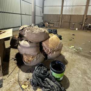 Home searches in a criminal case concerning 64 shipments containing more than 328 tons of unprocessed tobacco