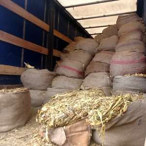 Home searches in a criminal case concerning 64 shipments containing more than 328 tons of unprocessed tobacco