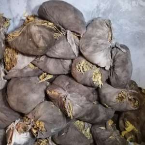 Home searches in a criminal case concerning 64 shipments containing more than 328 tons of unprocessed tobacco