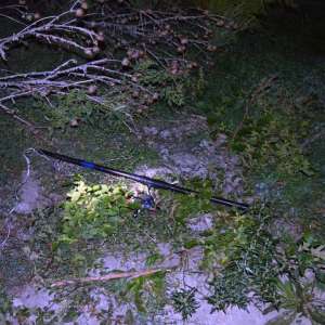 Ţigarete de contrabandă, în valoare de aproximativ 65.000 de lei,descoperite de polițiștii de frontieră gălățeni