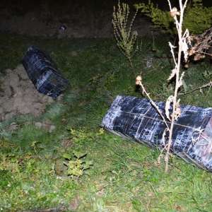 Ţigarete de contrabandă, în valoare de aproximativ 65.000 de lei,descoperite de polițiștii de frontieră gălățeni