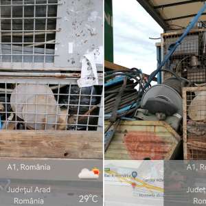 Peste 47 tone deşeuri oprite la intrarea în țară