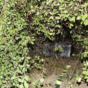 Ţigări de contrabandă reţinute de polițiștii de frontieră