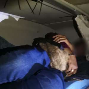 21 de cetățeni străini depistați de polițiștii de frontieră arădeni