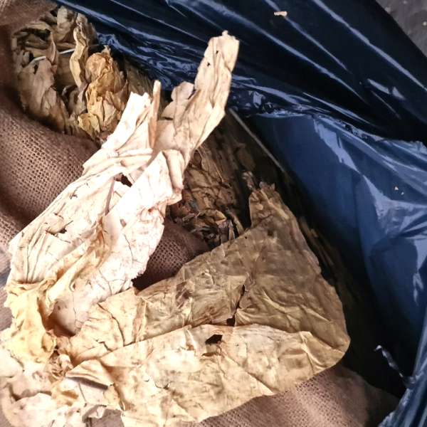 Aproximativ patru tone de tutun vrac disimulat după cutii cu ardei capia descoperite de polițiștii de frontieră