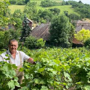 Interviu cu maestrul Dorel Vișan