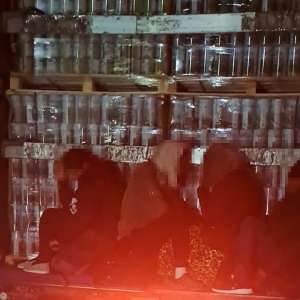 Cetăţeni din Sri Lanka şi Etiopia, depistați ascunși în trei mijloace de transport, în ultimele 24 de ore