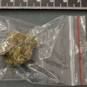 Doi maramureșeni depistați cu aproximativ 13 grame de substanțe interzise, în Vișeu de Sus și Crăciunești